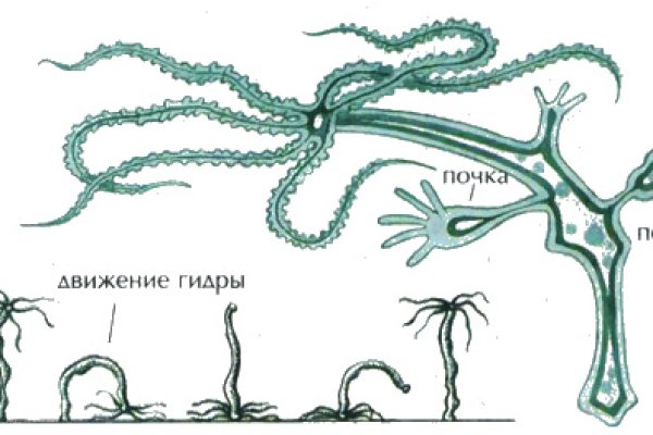 Кракен онион ссылка на тор