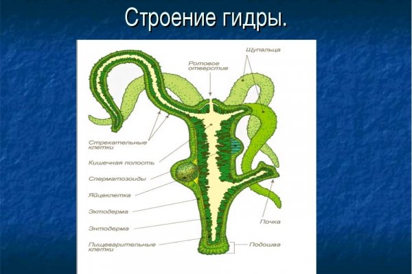 Кракен не работает тор