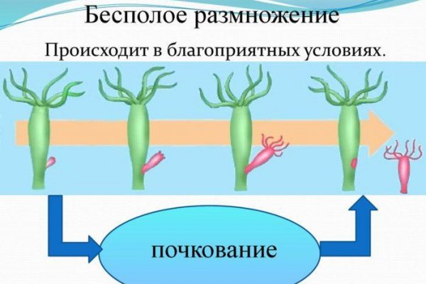 Купить героин в москве